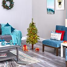 4' Wyoming Alpine Artificial Christmas Tree with 50 Clear multifunc...