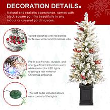 4ft Pre-Lit Flocked Christmas Porch Tree with LED Lights