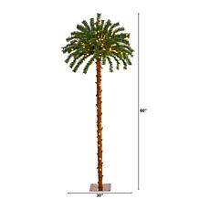 5 ft. Christmas Palm Artificial Tree with 150 Warm White LED Lights