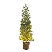 5-ft Cypress Christmas Tree with 140 Lights by Nearly Natural