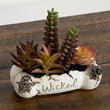 5-in Succulent Garden in Haunted - Set of 2 by Nearly Natural