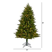 5’ Vermont Spruce  Christmas Tree with 250 Color Lights