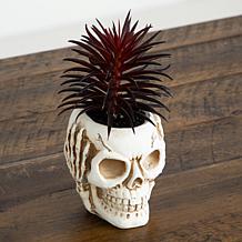 6-in See No Evil Skull Decor - Set of 3 by Nearly Natural