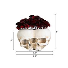 6-in Succulent Plant in Double Skull by Nearly Natural