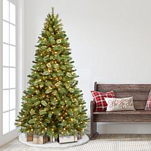 7.5' Pre-Lit Teton Pine Artificial Christmas Tree - 600 Clear Lights