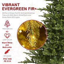 9ft Pre-Lit Green Full Fir Christmas Tree with LED Lights