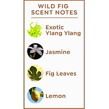 Active Argan Wild Fig All Over Drops