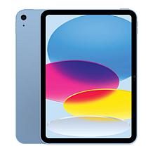 Apple iPad 11" 11th Gen 256GB Wi-Fi + Cellular Bundle