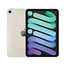 Apple iPad Mini 6 256GB Wifi Bundle