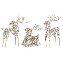 "As Is" august & leo Jeweled Reindeer Décor 3-piece Set with Gift B...