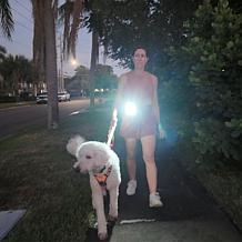 "As Is" Bell + Howell Worklight with Magnet, Clip and LED Strobe - ...