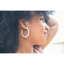 "As Is" Faire Collection Chau Horn and Brass Hoop Earrings