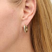 "As Is" Heidi Daus "Loop Back Around" Crystal Hoop & Chrm Drop Earrngs