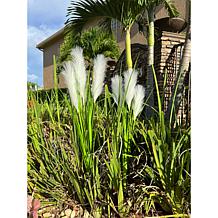 "As Is" Improvements 36-inch Faux Pampas Grass Stakes Set of 2