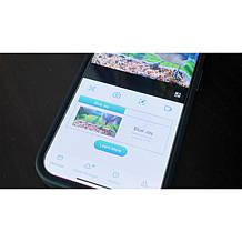 "As Is" Improvements Solar Powered Smart Birdfeeder With Camera