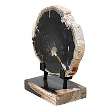 "As Is" KALIFANO Petrified Wood Slice with Display Stand