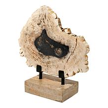 "As Is" KALIFANO Petrified Wood Slice with Display Stand