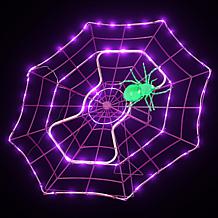"As Is" Mr. Halloween 48" Purple/Green Animated LED Spider Web