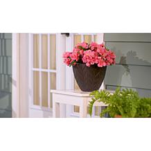 "As Is" Plow & Hearth Leaf Embossed 9 Planters - Set of 2