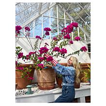 "As Is" Tower Hill by Christie Brinkley 3pc Garden Set- Gloves, She...