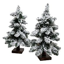 "As Is" Winter Lane 2-piece 18" Downswept Trees with LED Lights