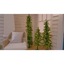 "As Is" Winter Lane Down Swept LED Trees 3-Piece Set