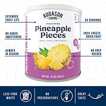 Augason Farms Freeze-Dried Pineapple Chunks Gluten Free