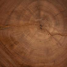bali and pari Eliada Wooden Side Table