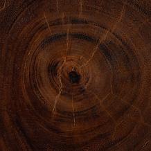 bali and pari Fuchsia Wood Side Table