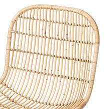 bali and pari Rosalba Rattan Dining Chair Set