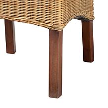 Baxton Studio Shamara Modern Bohemian Rattan and Wood Dining Chair