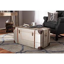 Bechet Metal Storage Trunk