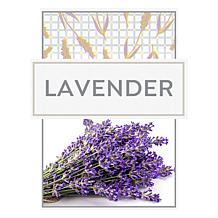 Beekman 1802 30-Count Goat Milk Facial Cleansing Wipes 4-pack Lavender