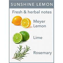 Beekman 1802 Goat Milk Lip Balm 3-Piece Set - Sunshine Lemon