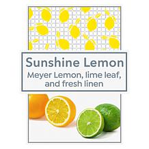 Beekman 1802 Goat Milk Lip Balm 3pc Set - Sunshine Lemon Auto-Ship®