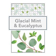 Beekman 1802 Goat Milk Mint & Eucalyptus Bath & Body Collection w/ Box