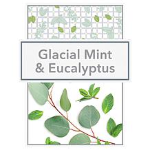 Beekman 1802 Goat Milk Mint & Eucalyptus Whipped Body Cream 2pk AS