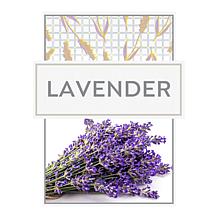 Beekman 1802 G.O.A.T. Whipped Body Cream 2-Pack - Lavender