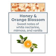 Beekman 1802 Honey & Orange Blossom  Bar Soap 4-piece Set Auto-Ship®