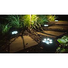 Bell + Howell Color-Changing and White Solar Paw Lights - 6-pack