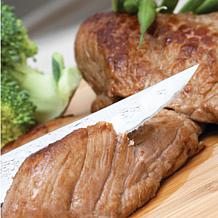 Berghoff DiNA Matrix 6Pc Stainless Steel Steak Knife Set, 4.5"
