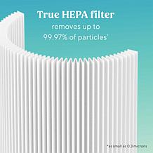 Bionaire 360 True HEPA Filter Replacement