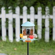BIRDFY AI Auto Capture Motion Detection Solar Powered Bird Feeder