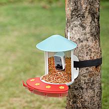 BIRDFY AI Auto Capture Motion Detection Solar Powered Bird Feeder