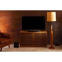 Bose All-in-One TV Speaker and Sound System with Dialogue Mode
