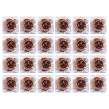 Brooklyn Food Group 24 Individually Wrapped Cinnamon Raisin Bagels AS