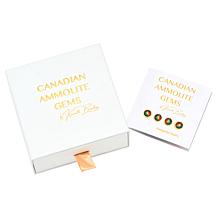 Canadian Ammolite Gems Multigemstone Flower Pendant with Chain