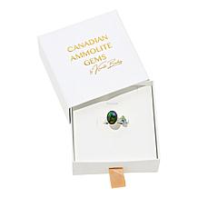 Canadian Ammolite Gems Sterling Silver Multigem and Oval Ammolite Ring