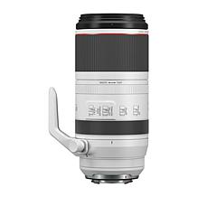 Canon RF 100-500mm f/4.5-7.1L IS USM Lens