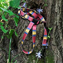 Carolina Pet Pendleton Zion National Park Adventure Leash
